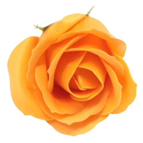 Pack of 10 Craft Soap Roses - Wedding Party Favours Table Decor Flowers Shaped